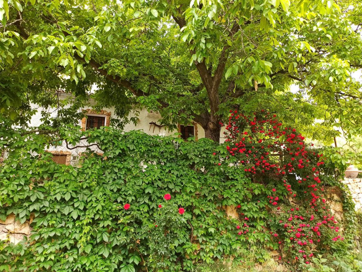 Cortijo Ramon Petra Guest House Nerpio Exterior photo